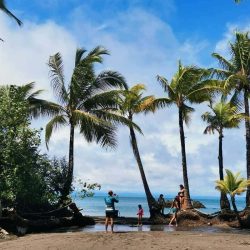 IMG-20210914-WA0059