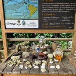 IMG-20240702-WA0018