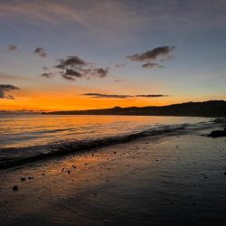 IMG-20240708-WA0001