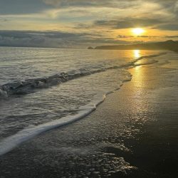 IMG-20240711-WA0027