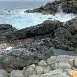 IMG-20240722-WA0059