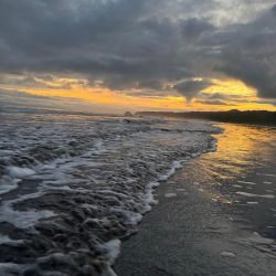 IMG-20240827-WA0065