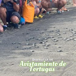 IMG-20241013-WA0024