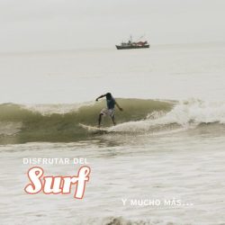 IMG-20241013-WA0028