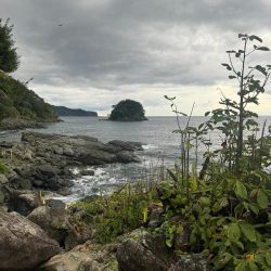 IMG-20241112-WA0079