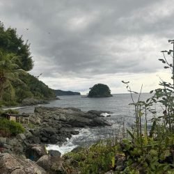 IMG-20241112-WA0080