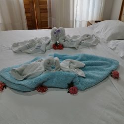 IMG_20241108_102540